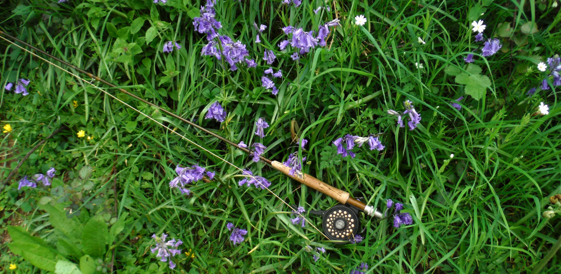 Bluebells by the Monnow